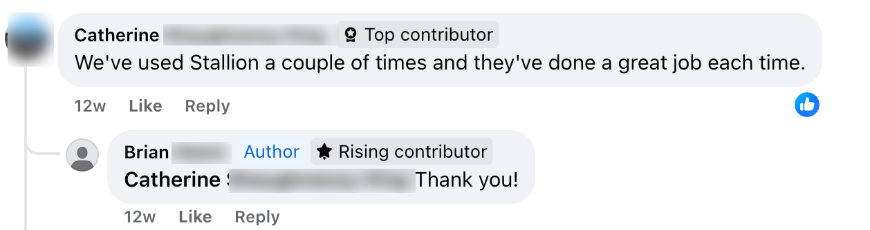 A Facebook comment exchange where Catherine praises Stallion's work and Brian, tagged as Author and Rising Contributor, replies with "Thank you! Ready to elevate your Milton spaces this spring? Check out Stallion Painting!.